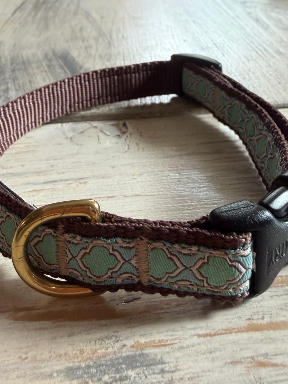 Brown & Mint Patterned Dog Collar with Gold D-Ring